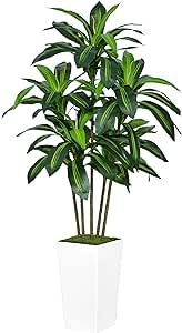 ASTIDY Artificial Dracaena Tree 5FT - Faux Tree with White Tall Planter - Fake Tropical Yucca Floor Plant in Pot - Artificial Silk Tree for Home Office Living Room Decor Indoor
